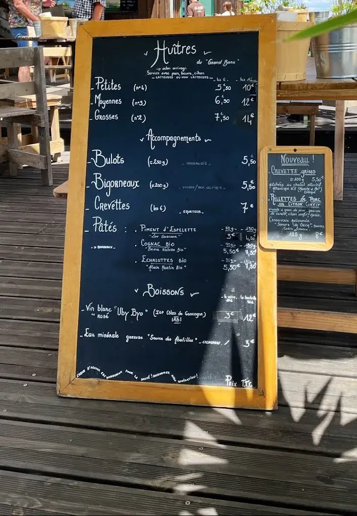 A. U._La 12Zen_Teste-de-Buch_review