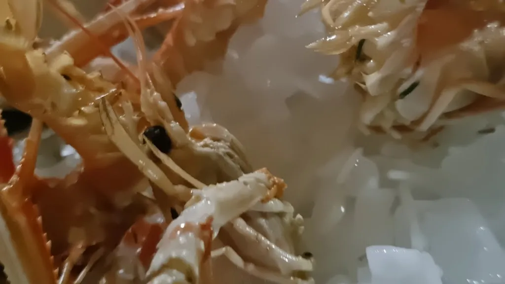 La Petite Marée_Teste-de-Buch_slider_image_2