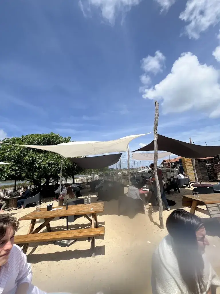 Brice_La Cabane 164_Teste-de-Buch_review