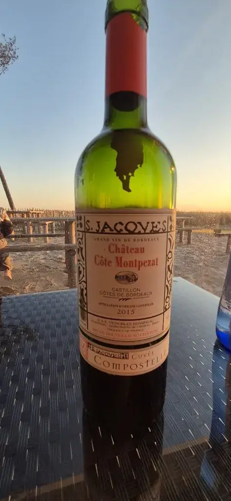 Alessandro Massone_Restaurant La Lagune_Teste-de-Buch_review