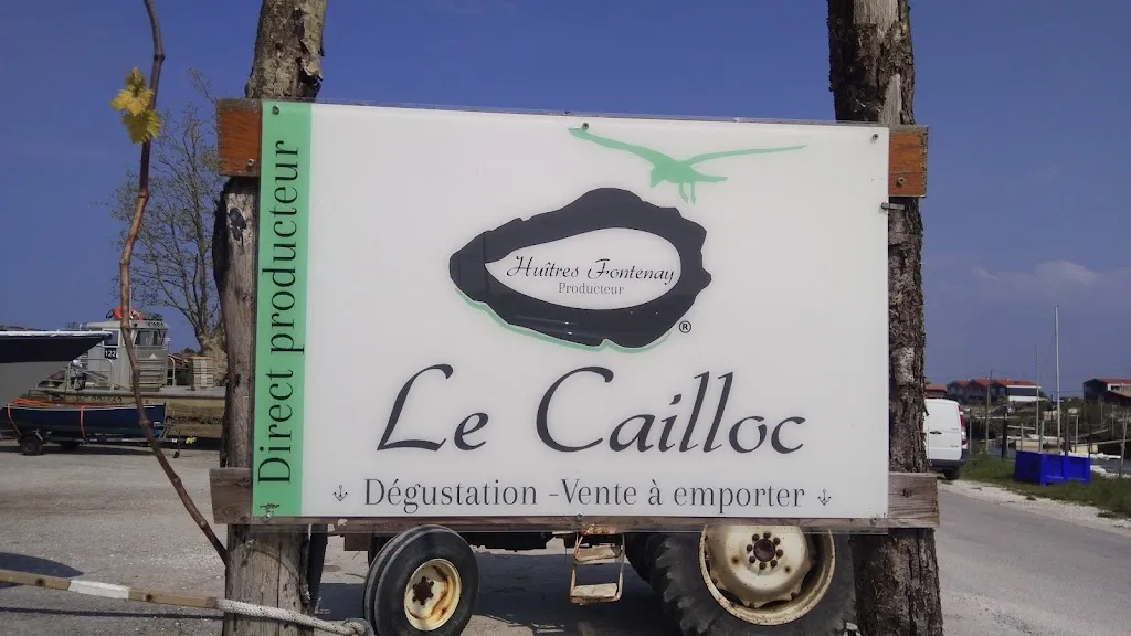 Yaya Gao (Commoner)_Le Cailloc_Teste-de-Buch_recensione