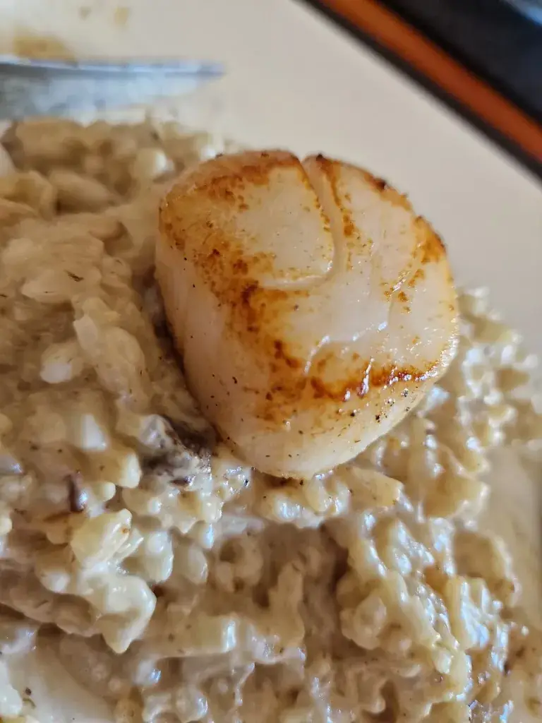 scmi7y_The Larch_Mure_recensione