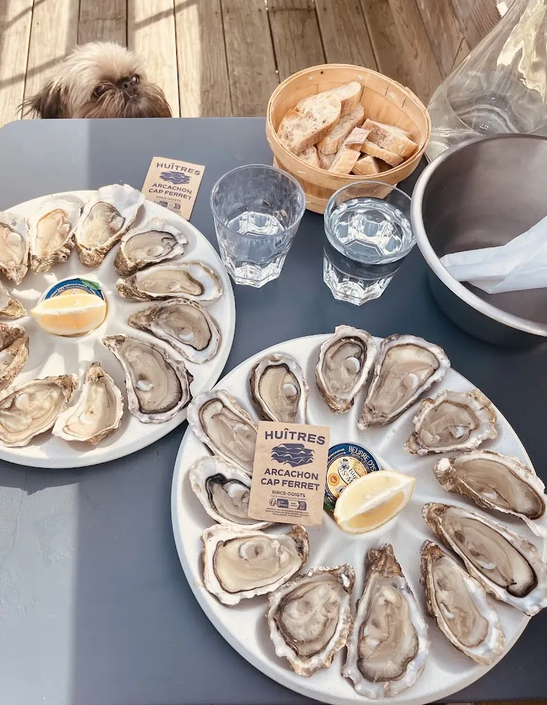 Menu_Le testut_Teste-de-Buch_image_2