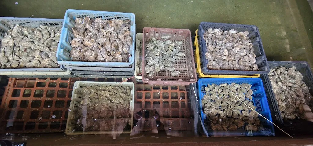 Menu_Le testut_Teste-de-Buch_image_7