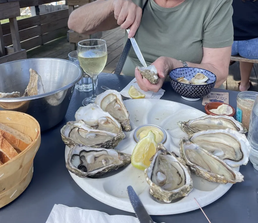 Roberto S._Le testut_Teste-de-Buch_review