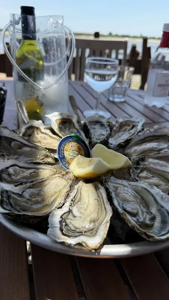 Indira Melnik_La Cabane de l'Aiguillon_Teste-de-Buch_review