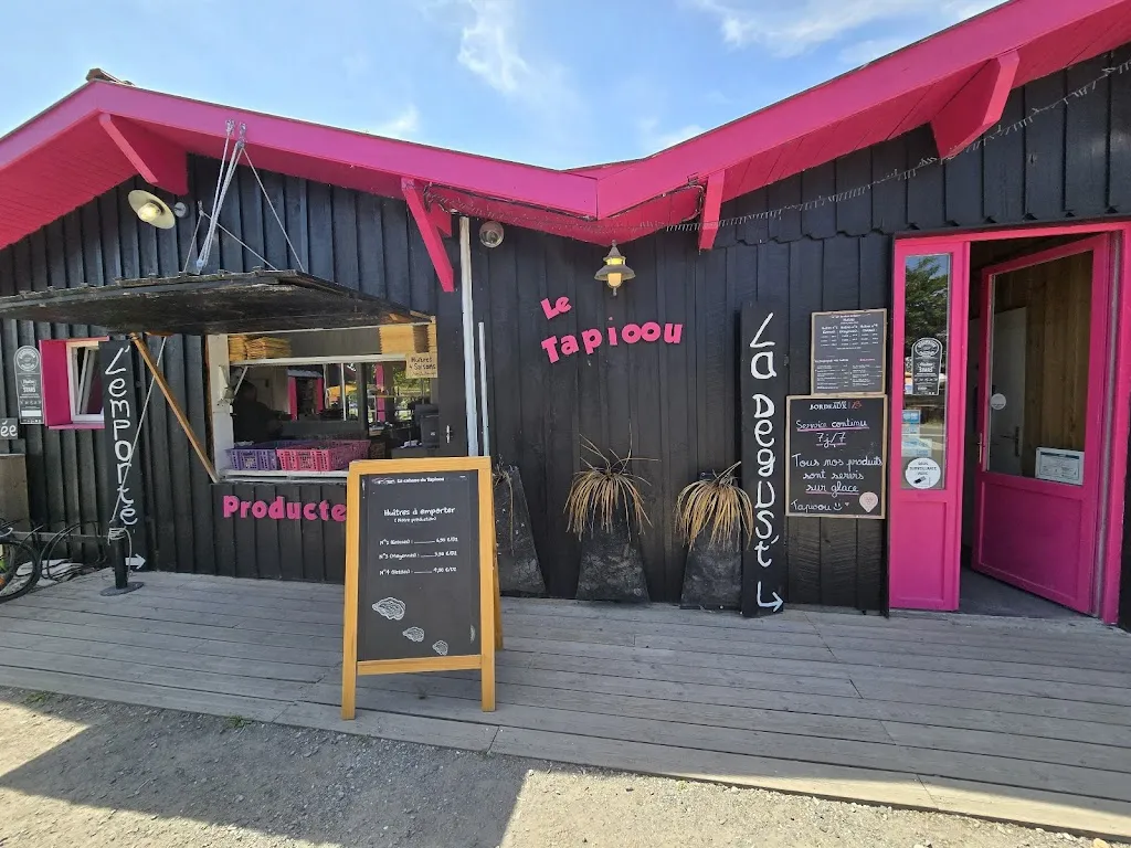 Radu_La Cabane du tapioou_Teste-de-Buch_review