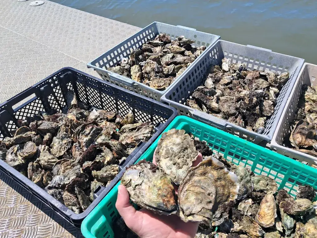 Cabane O’Crackoye_Teste-de-Buch_slider_image_2