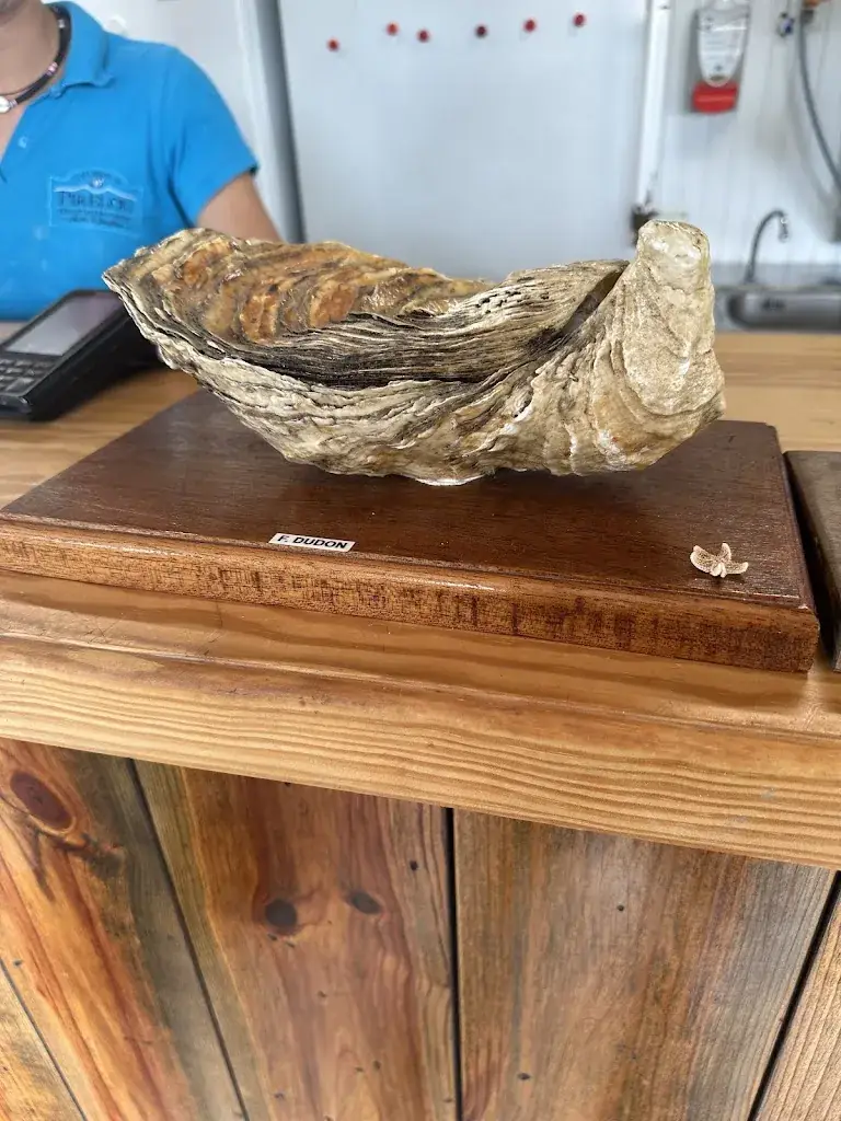 Menu_La Cabane Du Pirelon_Teste-de-Buch_image_6