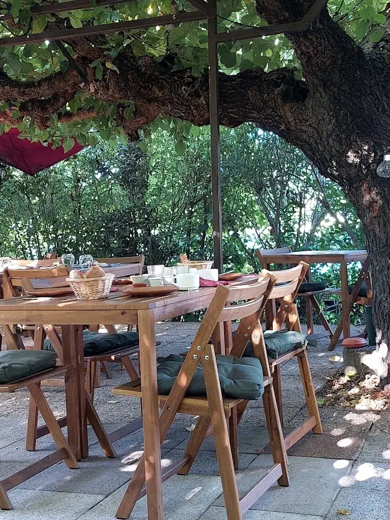 Amélie M._Restaurant Zarathoustra_Saint-Maurice-d'Ibie_recensione