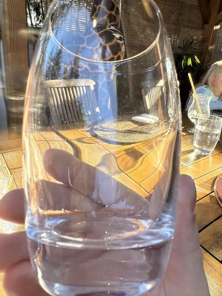 Hans_La Cabane_Lacanau_review