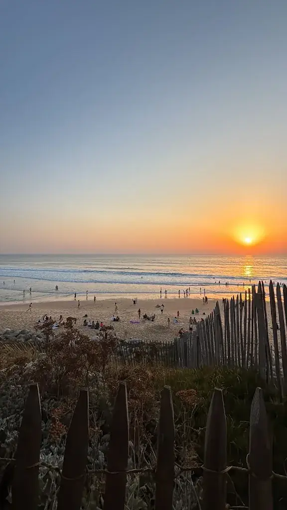 Karel Lattrez_Le Kayoc_Lacanau_review