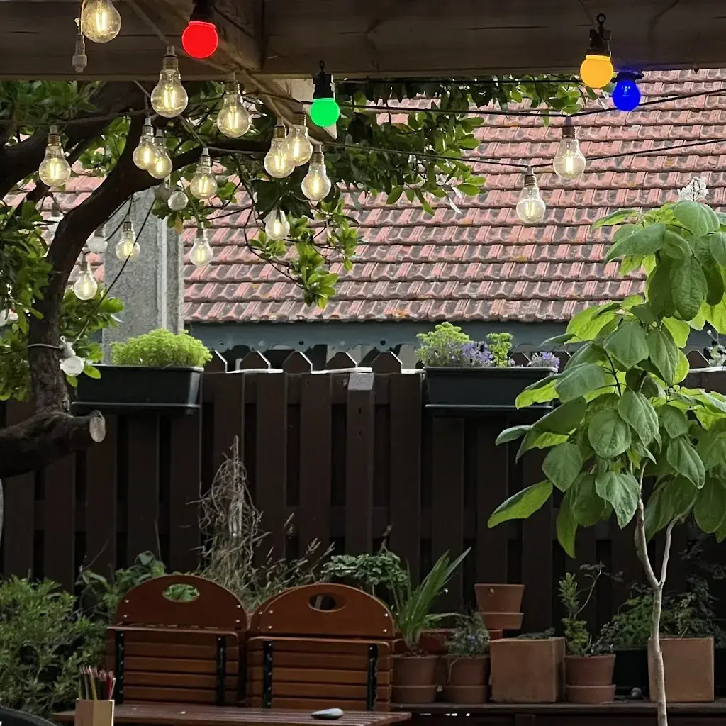 Sissi_Le Chat Sur Le Toit_Lacanau_review