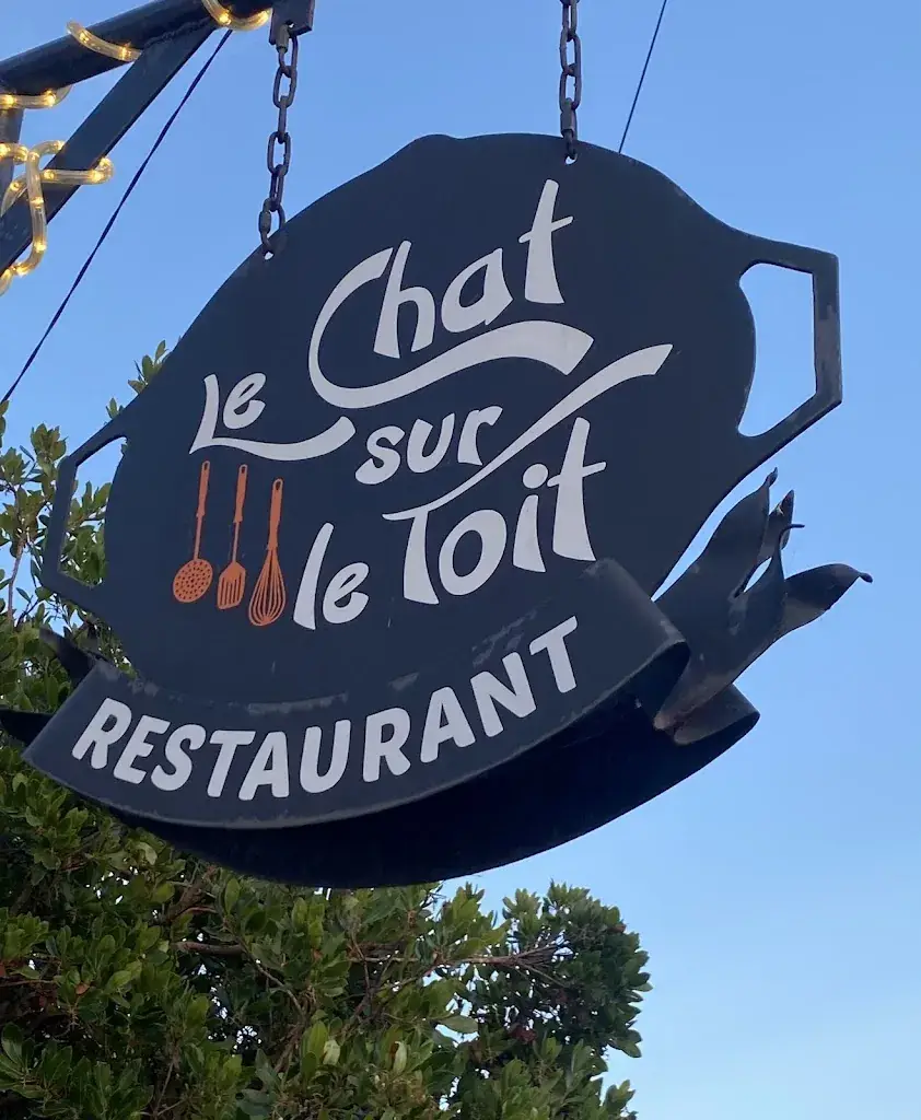 Robert Vollrath_Le Chat Sur Le Toit_Lacanau_review