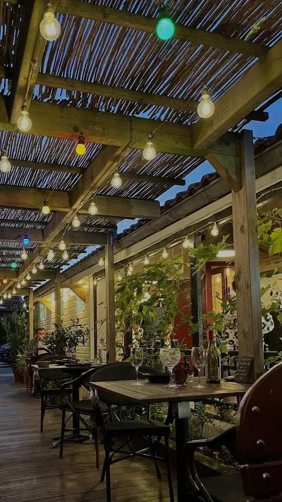 Le Chat Sur Le Toit_Lacanau_slider_image_2