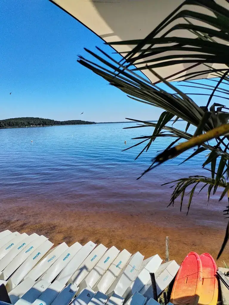 Christophe Baudouin_Restaurant La Conche Lacanau_Lacanau_review