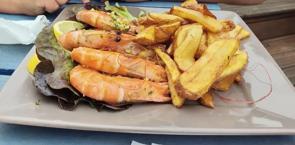 Konrad Zaremba_Le cabanon et sa cave à vin_Lacanau_review