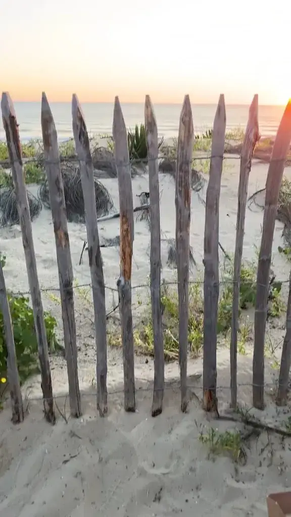 La Cabane à Mule_Lacanau_slider_image_2