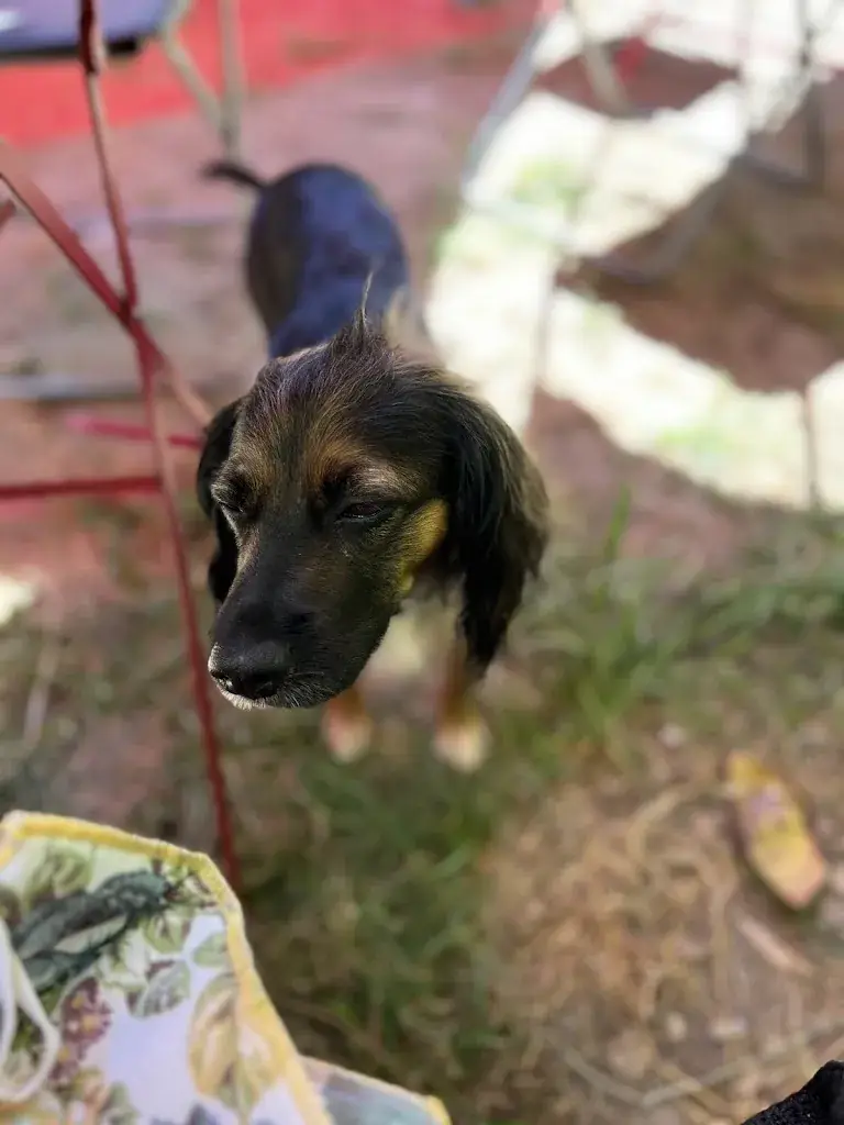 Emily Nixon_Le Splendid-Langoiran_Langoiran_review