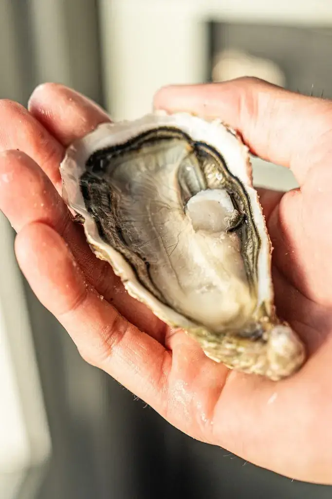 Menu_La Terrasse de la Poissonnerie du Port de Lanton_Lanton_image_5