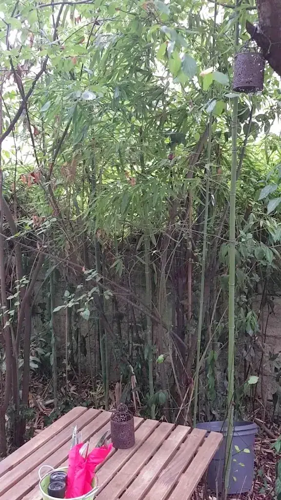 O P'tit Jardin_Bouscat_slider_image_2