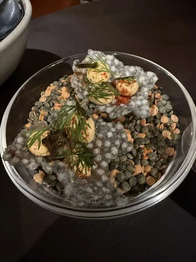 Wendy Bartlett_Maison Pavlov_Bouscat_review