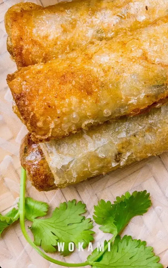 Menü_Wokami Le Bouscat_Bouscat_Bild_9