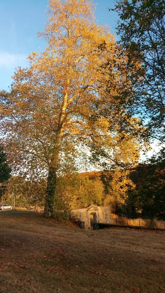 Le Palais_Palais-sur-Vienne_slider_image_3