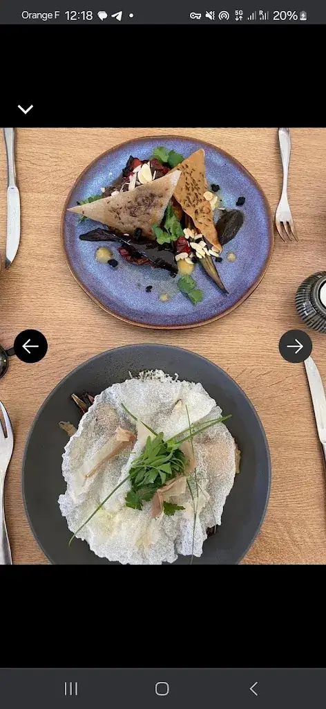 Brandon Lark_Le Calyptus_Porge_review