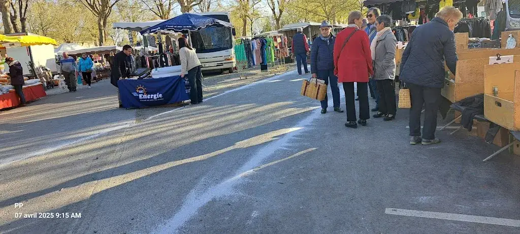 Patrick Pineau_Foire de LENCLOITRE_Lencloître_review