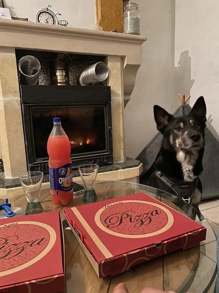 Walking Dogs Bordeaux_Sapore di italia_Léognan_review