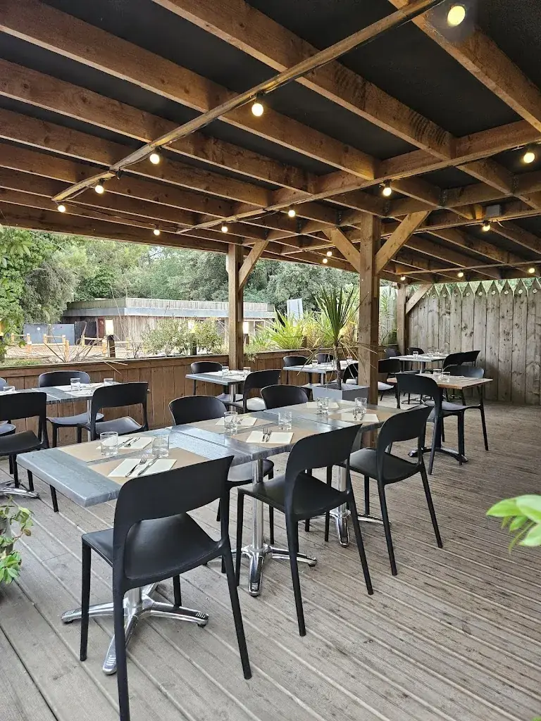 Ô grain de sel Restaurant in Verdon-sur-Mer