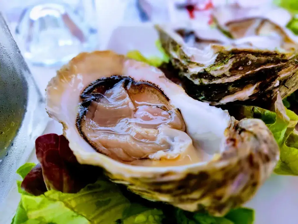 Menu_L'Escale de la Plage_Verdon-sur-Mer_image_8