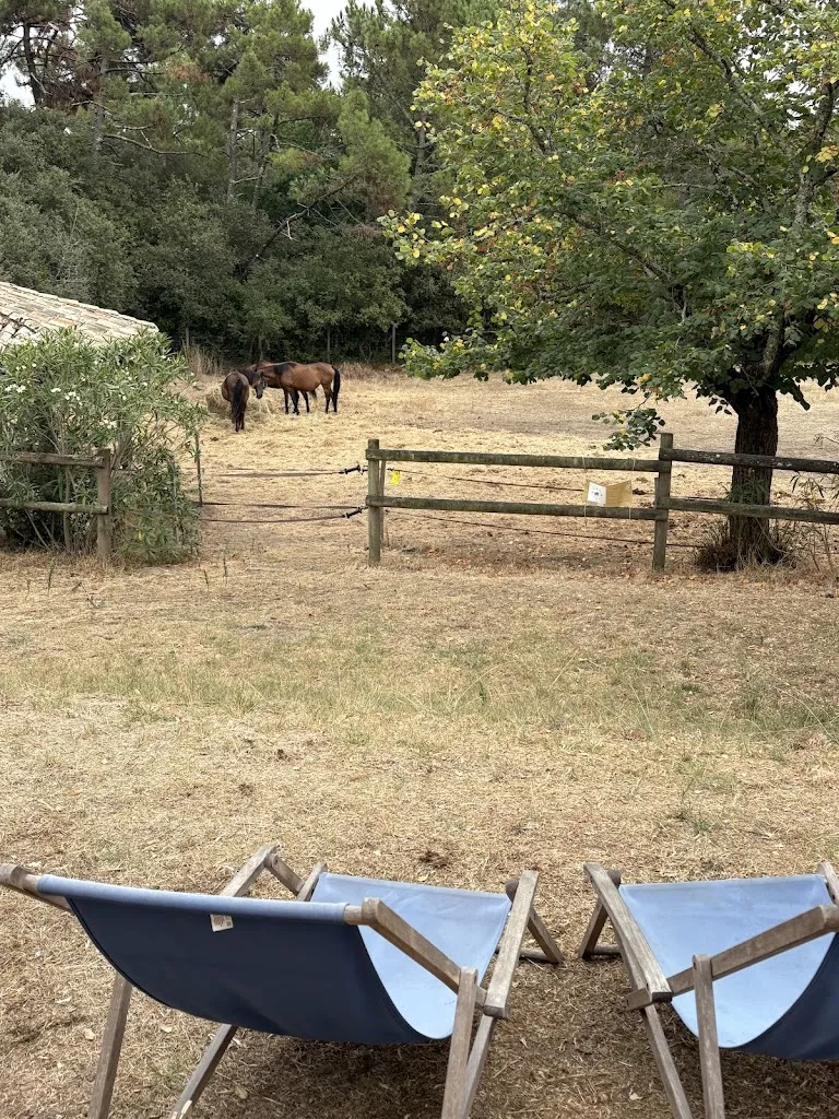 La Guinguette de Paupiette_Verdon-sur-Mer_slider_image_1
