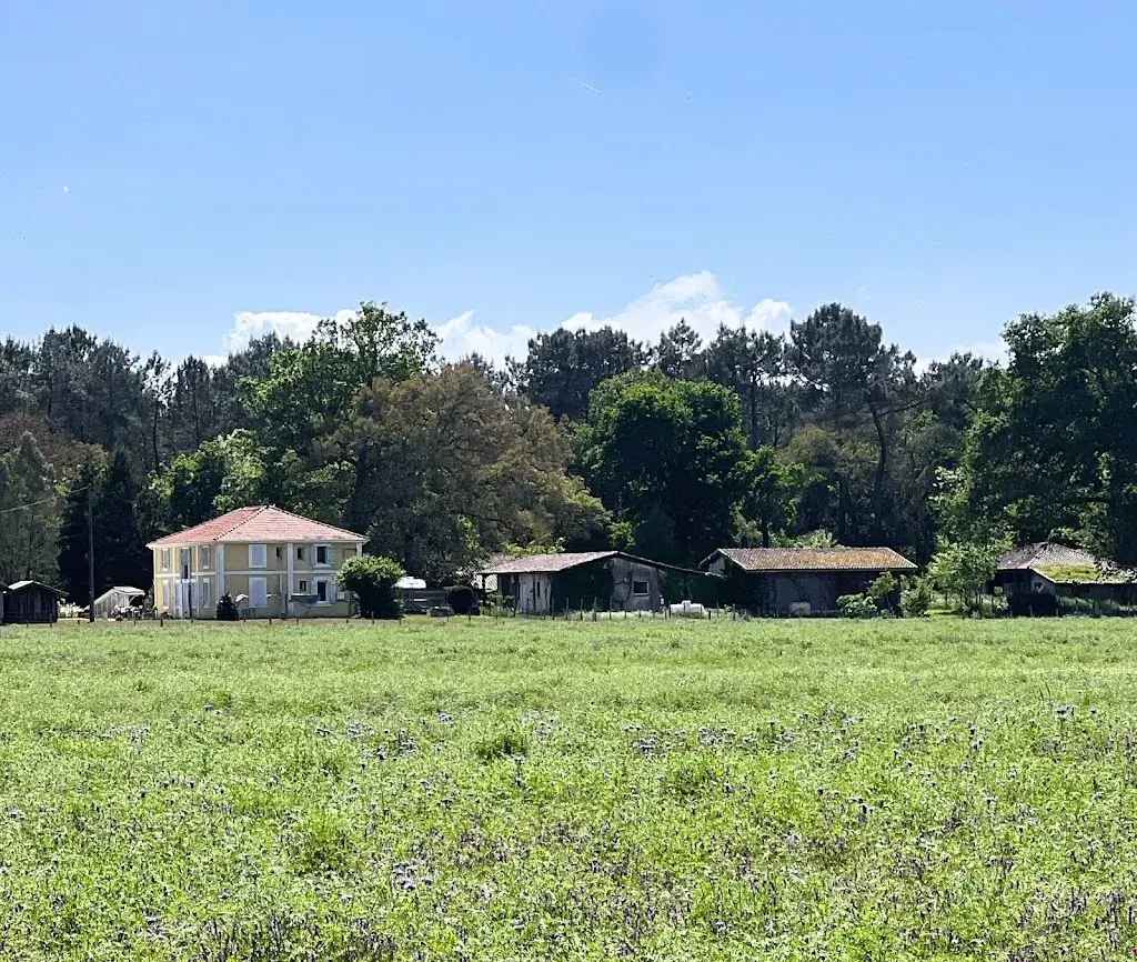 Vincent Chaumerliac_Maison Tenoy_Léon_Bewertung