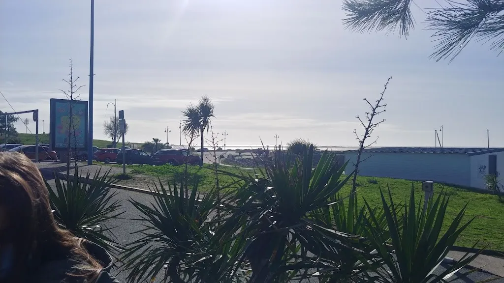 I To_Bar Restaurant Le Golfy - Port de La Palmyre_Mathes_review