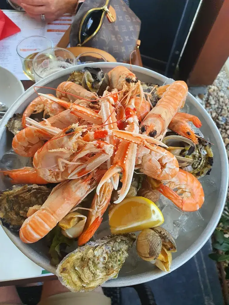 Kevin Thomas_La Palmeraie_Mathes_review