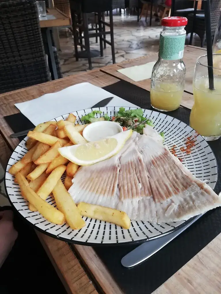 JPP 91_Le cagou_Mathes_review