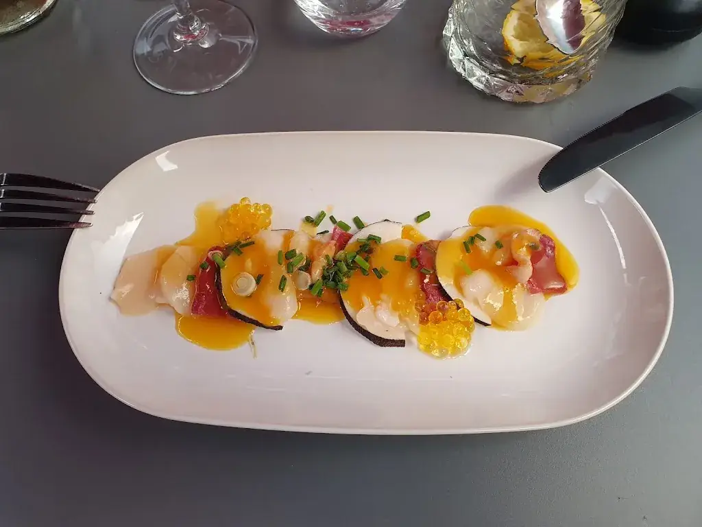 chris D_VerSus_Limoges_review