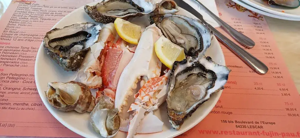 FUJIN_Lescar_slider_image_2