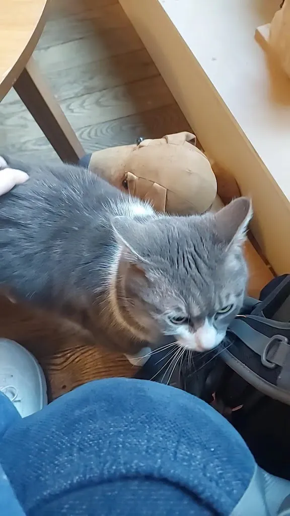 Sandy Van Geenberghe_La Douce Heure_Lons-le-Saunier_Bewertung