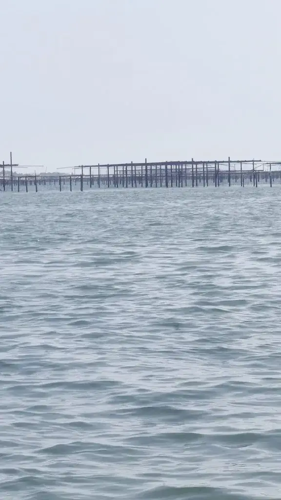 SMB_Les pieds dans l eau_Loupian_review