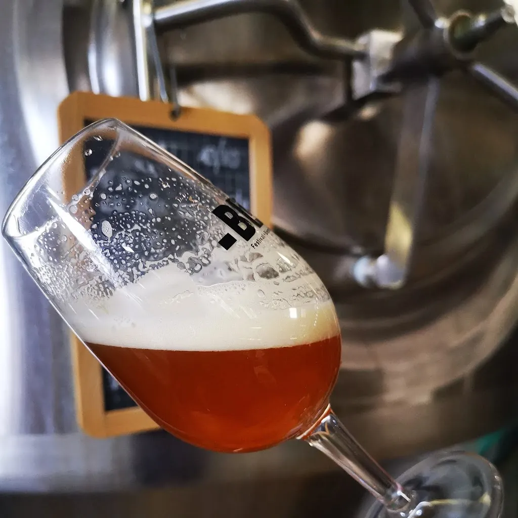 Menu_Brasserie Naturelle des Landes_Lit-et-Mixe_immagine_2