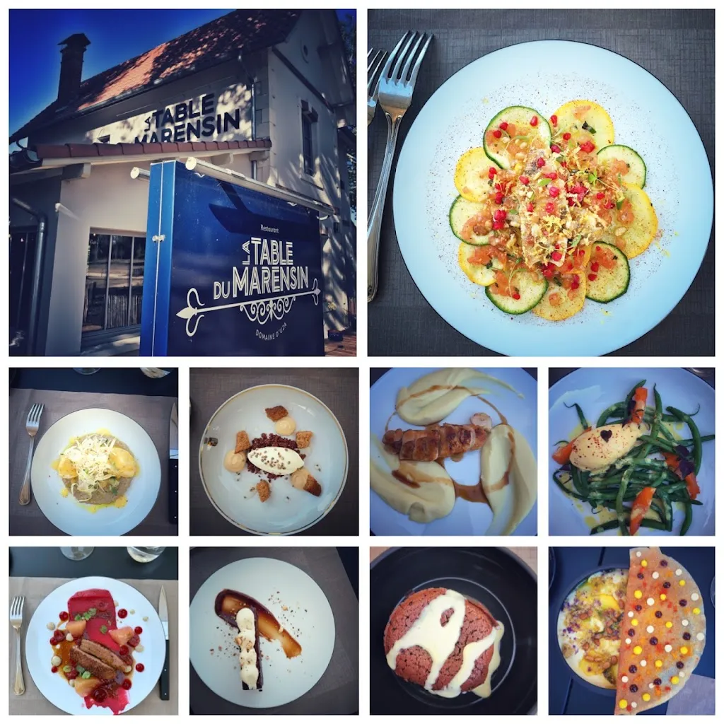 Dirk Holzrichter_LA TABLE DU MARENSIN - 40170_Uza_review