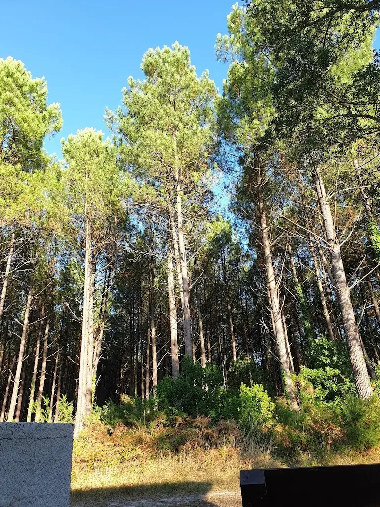 Club-Atlantique_Lit-et-Mixe_slider_image_1