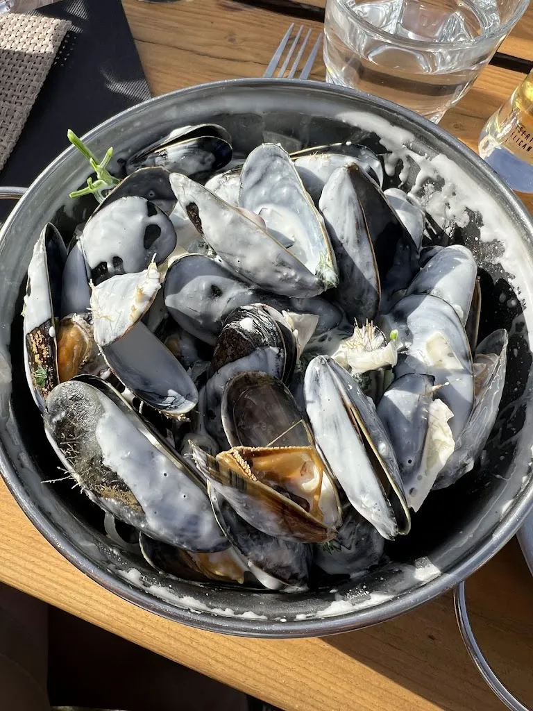 Pat Hermann_Oyat Restaurant_Saint-Julien-en-Born_review