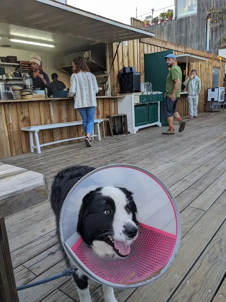 Charlotte L_Comptoir Bohème_Saint-Julien-en-Born_recensione