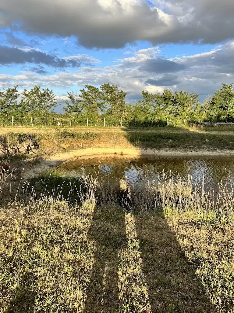 stephanie pimbert_L'Annexe des Bonnes caves_Loudun_review
