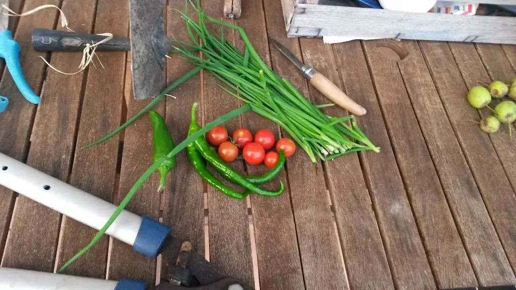 Menu_Restaurant traiteur 