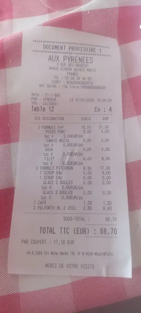 Silvana Silva_Aux Pyrénées_Oloron-Sainte-Marie_review